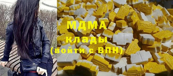 МДПВ Бородино